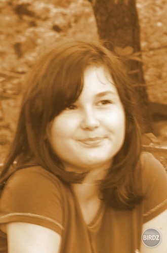 Obrázok