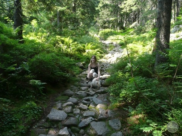 Cestou na Biele pleso