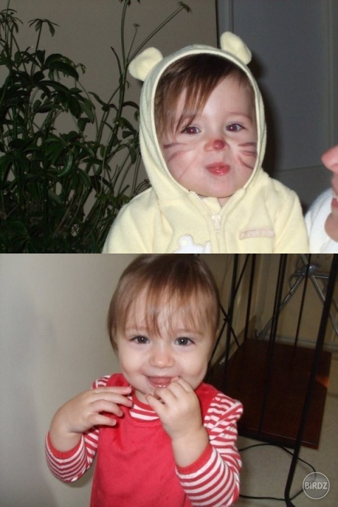 jazzy