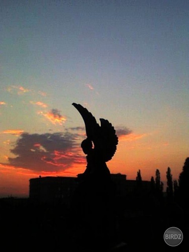 Cintorín - Prešov