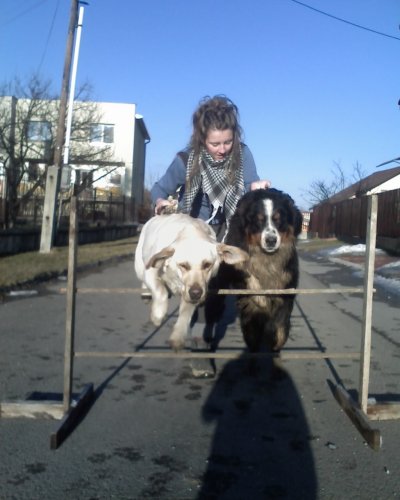 Bobi a Nala a moj plesovy uces