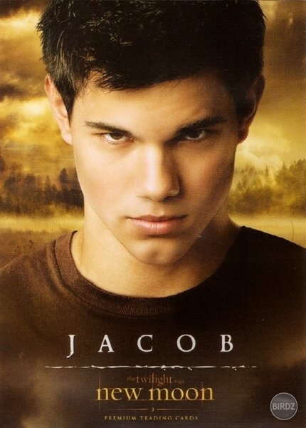 Taylor Lautner (proste je sexi a ja som tiež len žena :-D)