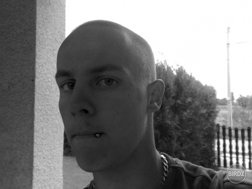 Obrázok