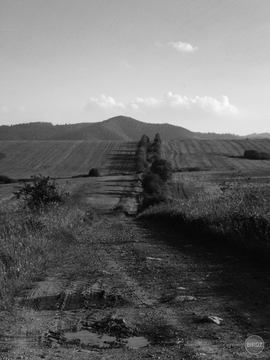 domov