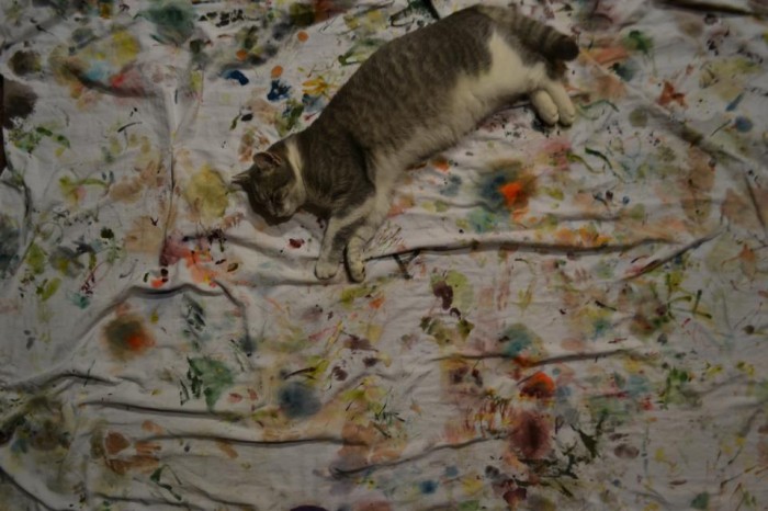 my cat is bigger artist than me