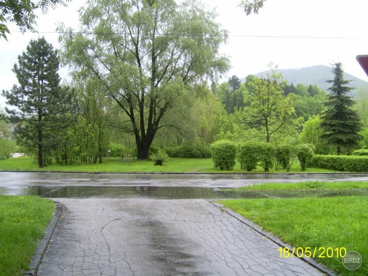 Obrázok