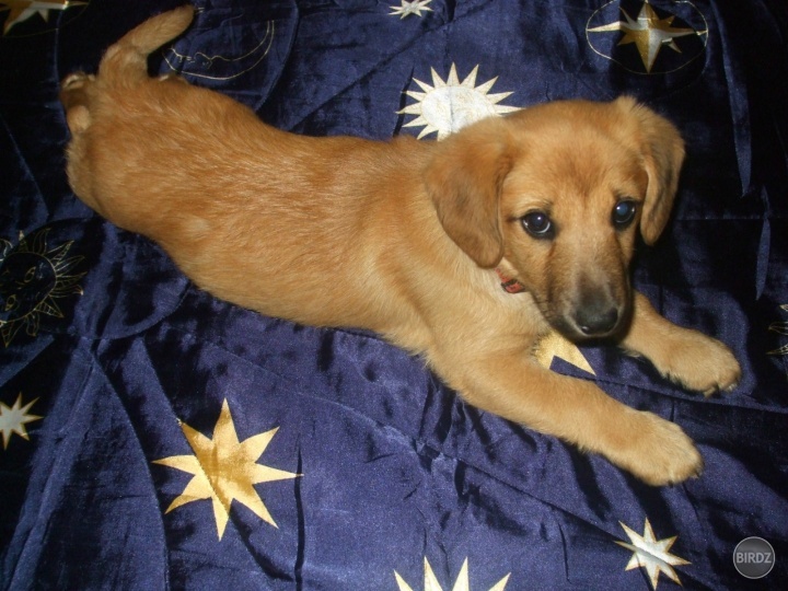 26.5.2012 oslávil 3 mesiace a je hrdým čelnom našej rodiny.. zbožňujeme ho <3
