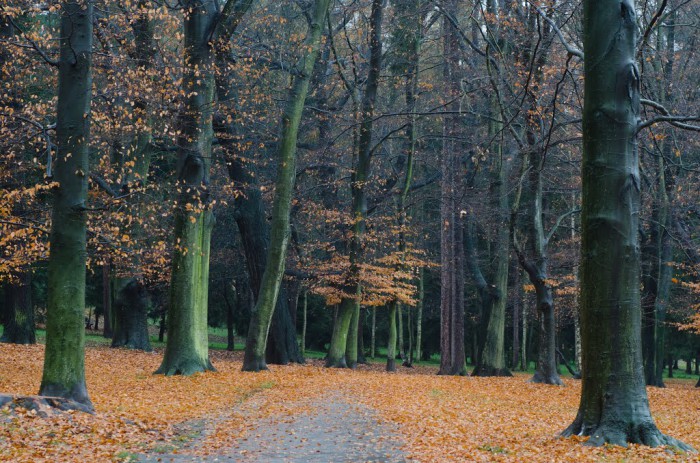 http://www.panoramio.com/photo/114524380