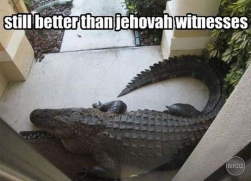 vzdy lepsie ako svedkovia jehovovi ! :D:D:D:D:D:D:D:D