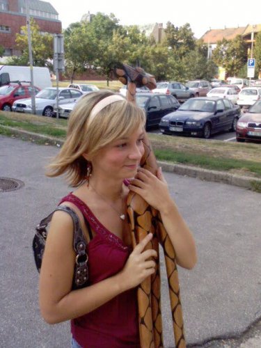 Obrázok
