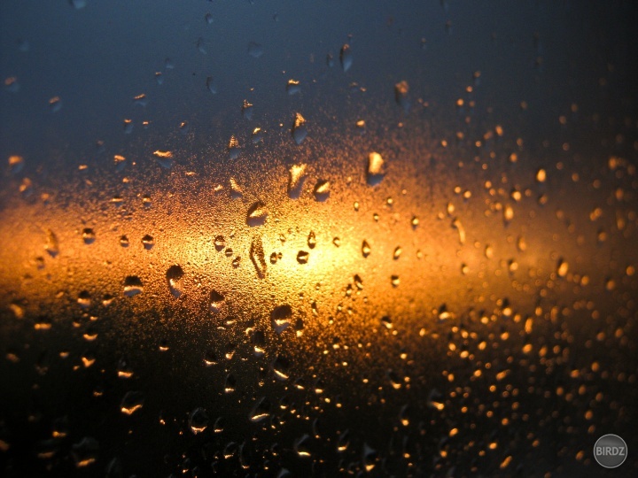 Sunset with drops