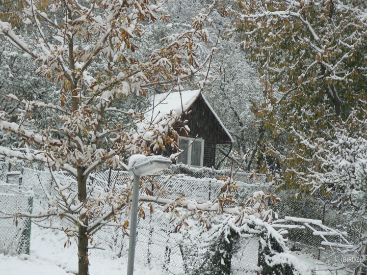 TAK AKO ČAS LETÍ TAK I MALÁ VLOČKA
DO ZÁHRAD ZALETÍ BA I DO POTôČKA
CHALÚPKY ZABIELI POLIA LÚKY STRECHY
BIELE MAJU ČIAPKY AJ ZELENÉ SMREKY