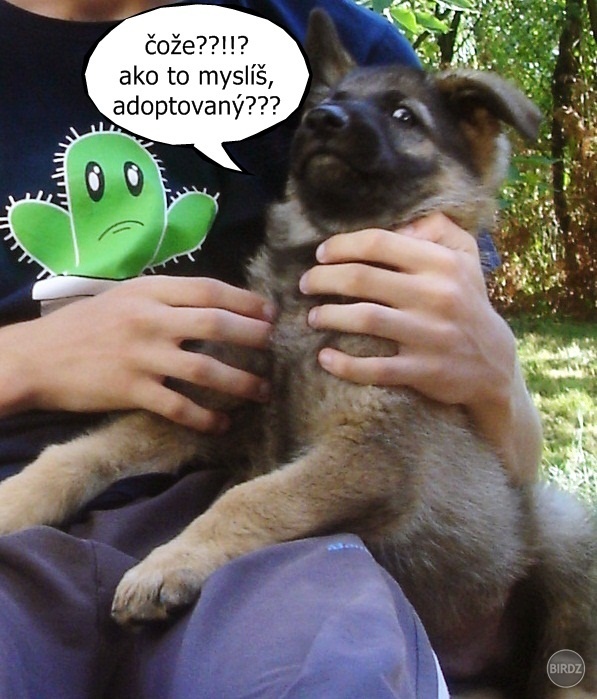Obrázok