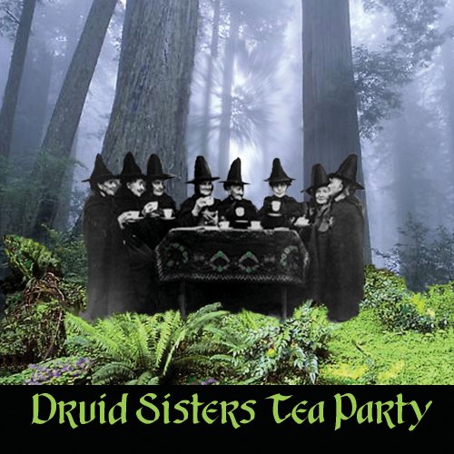 TO SOM JA A MY DRUIDS SISTERS :-I