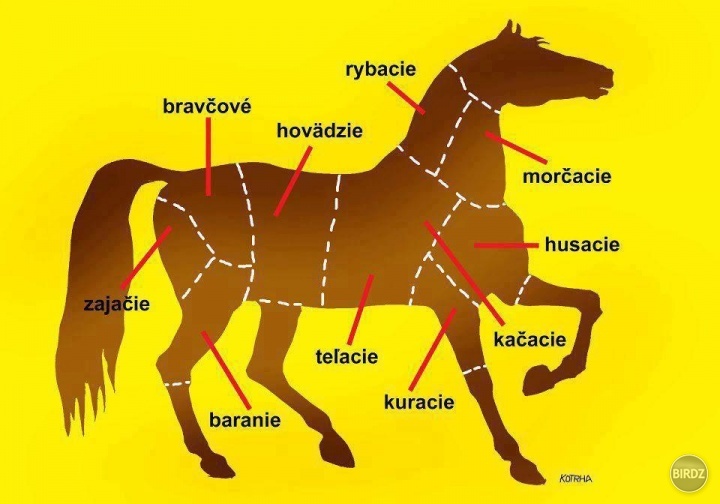 a z chvosta parochne pre ženy/mužov .. :(