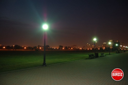 Jersey gardens