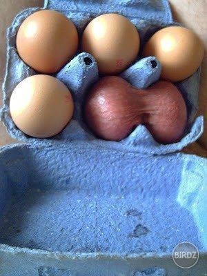 vajíčka :D:D