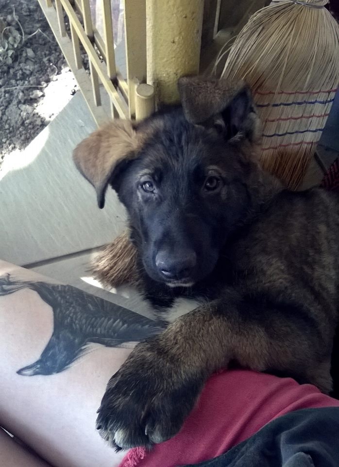 S labkáčom leháro ♥ 