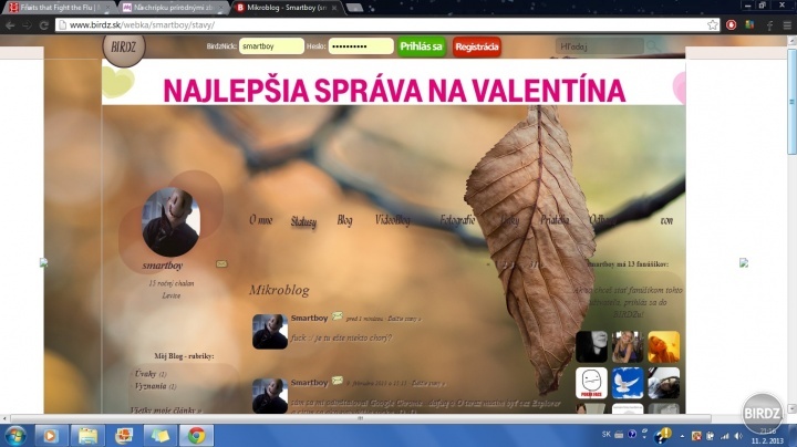 Najlepšia správa na Valentína? Rozjebaná webka!...
a to mám aj AdBlock o.O