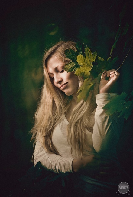 (c) Peter reefe Kováč - www.reefe.sk