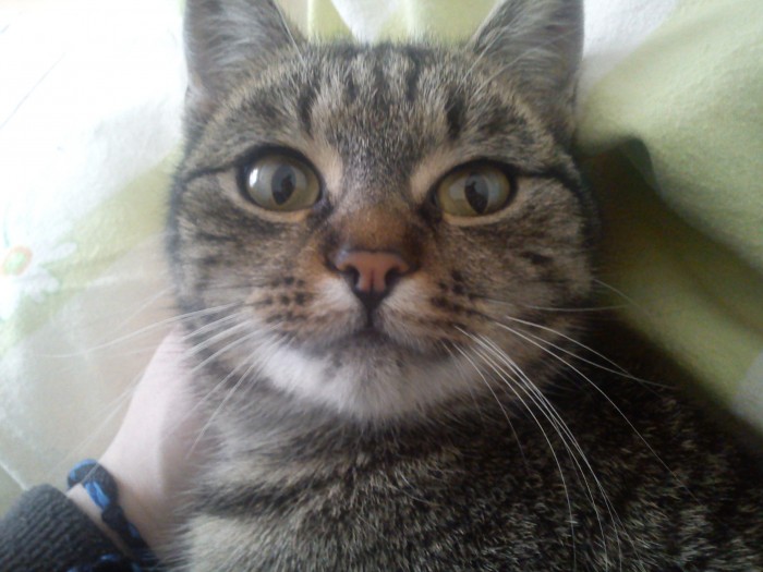 Fejsík :D