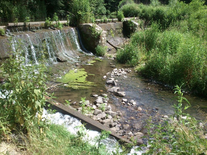 Obrázok