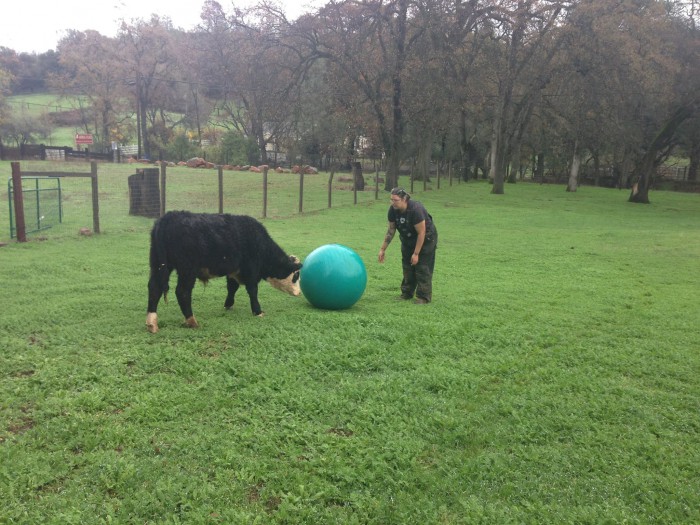 https://www.facebook.com/animalplace?fref=photo