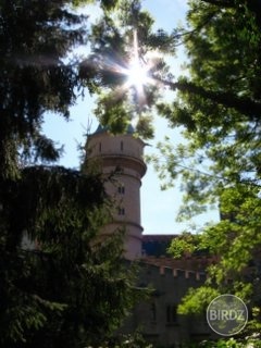 Bojnický hrad
