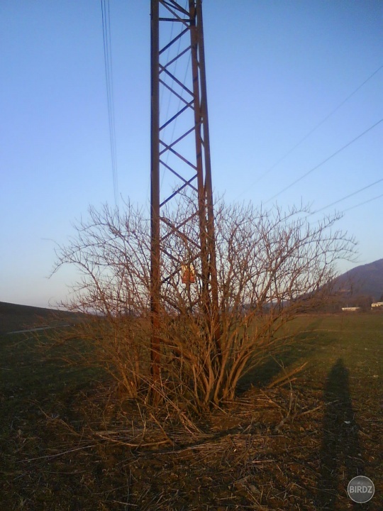 Obrázok