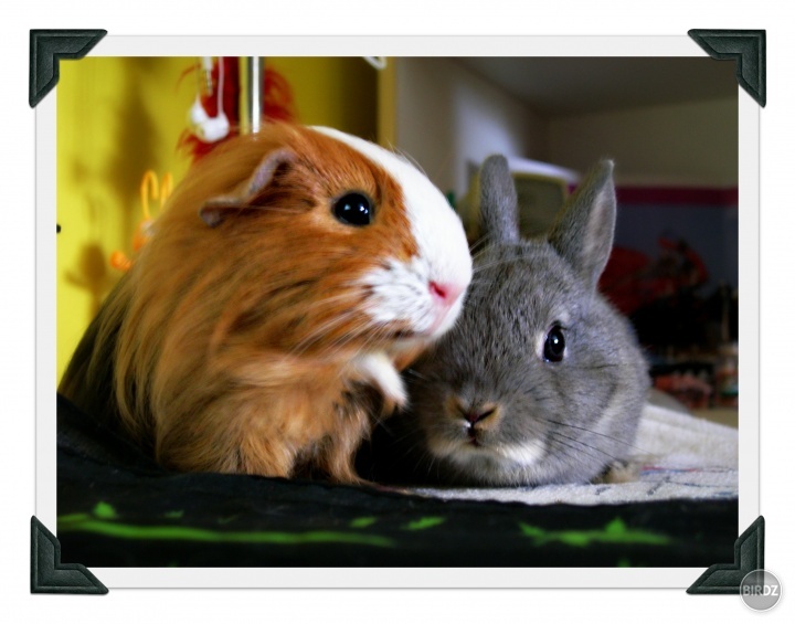 Max a Lili :) friends 4ever :)
