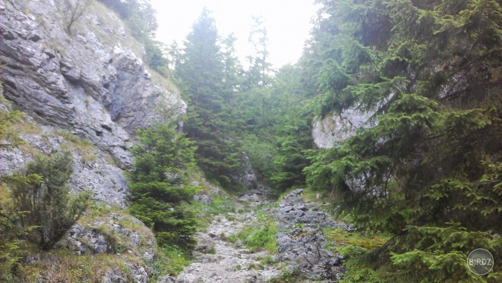 stúpanie na Veľký Choč (1611)

Deň č. 3: (Valaská Dubová - Veľký Choč - Likavka), vzdialenosť 16,7km, prevýšenie okolo 950m