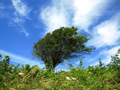 ..it was very windy :D