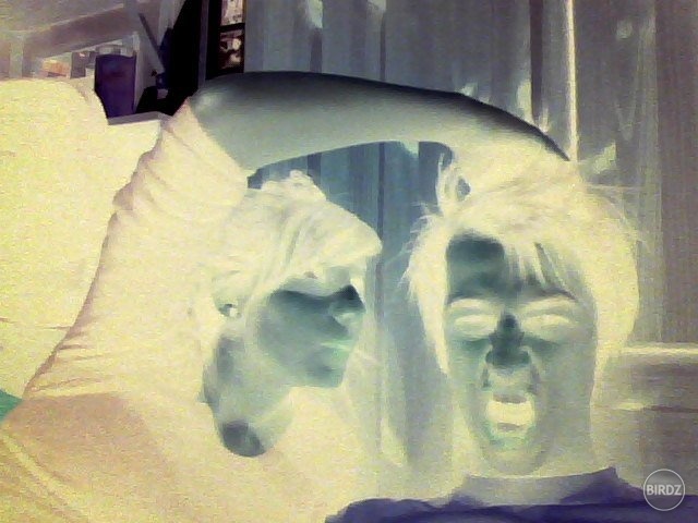 webcam