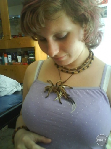 ja a moje prekonavanie arachnofobie
