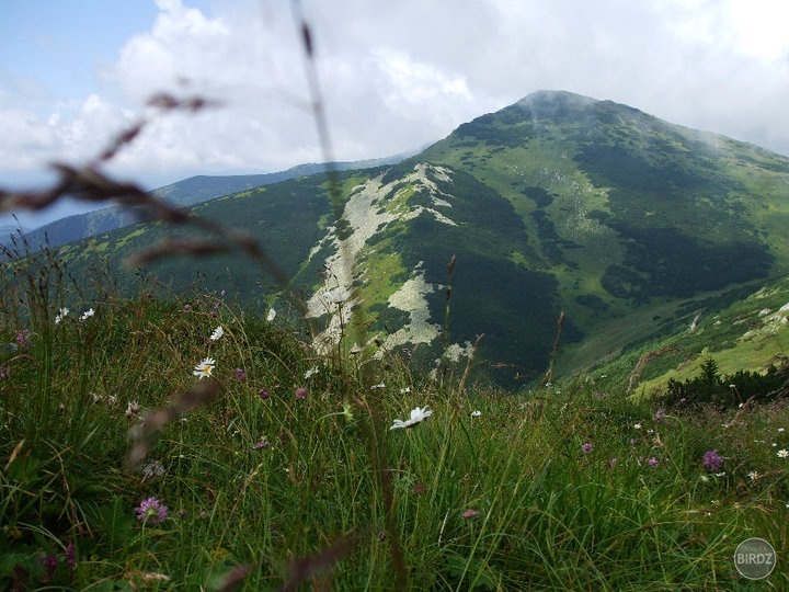 Obrázok