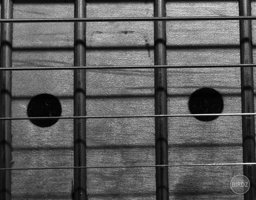 Lines
