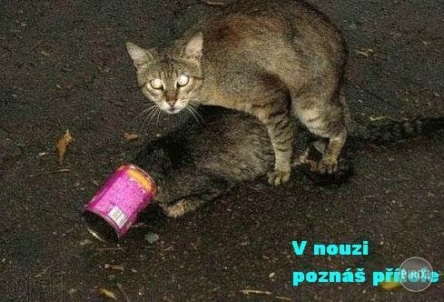 niečo na tom bude :D