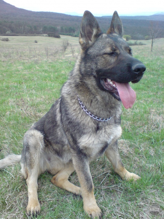 Obrázok