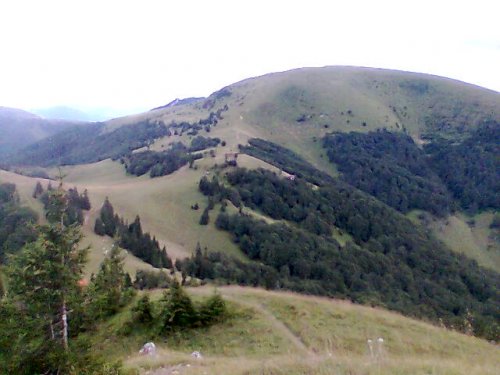 Obrázok