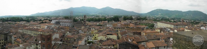Panorama