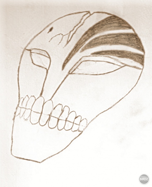 Ichigova hollow maska...