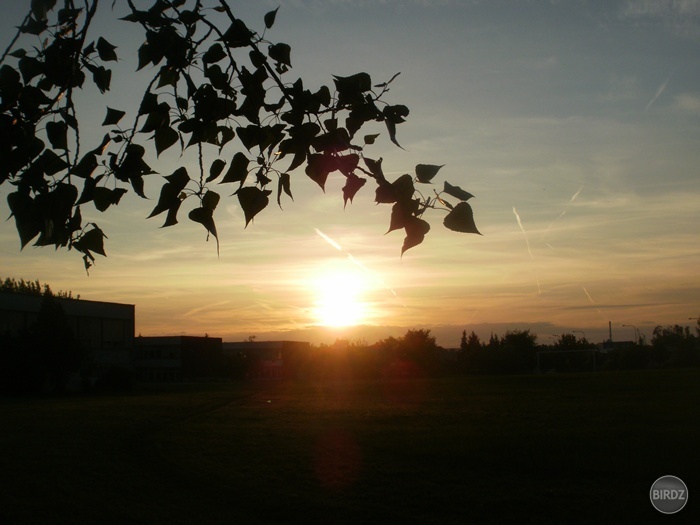 Obrázok