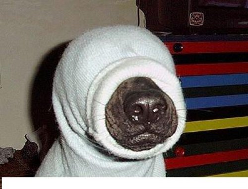 Moj bracho ze sa podobame?:P