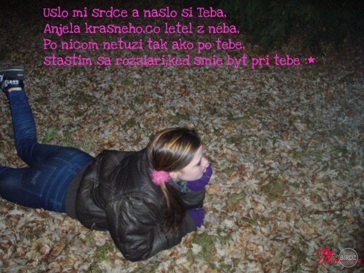 Obrázok