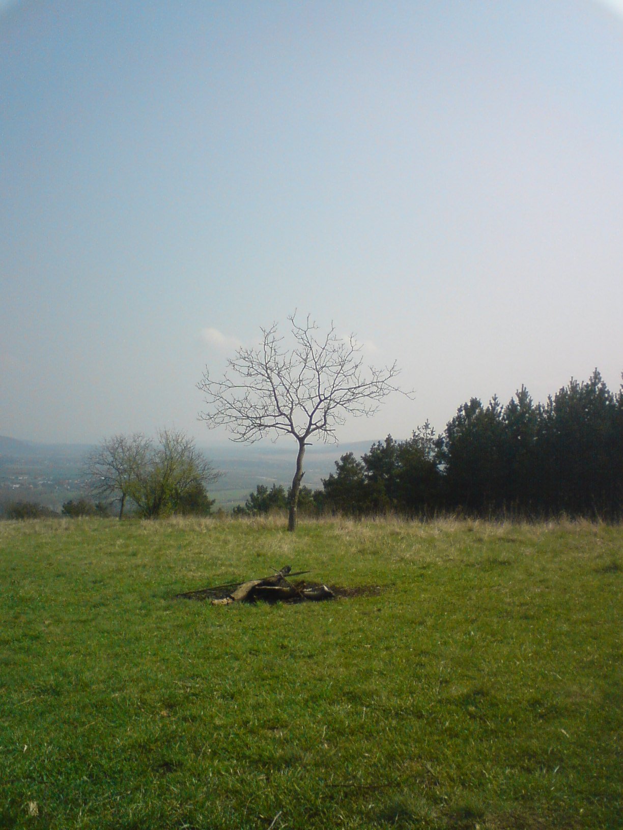 Obrázok