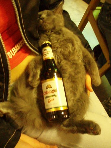Reklama na pivo:P