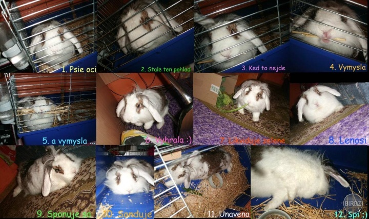 Moje ňuňu :) Ked sa pýta večer von