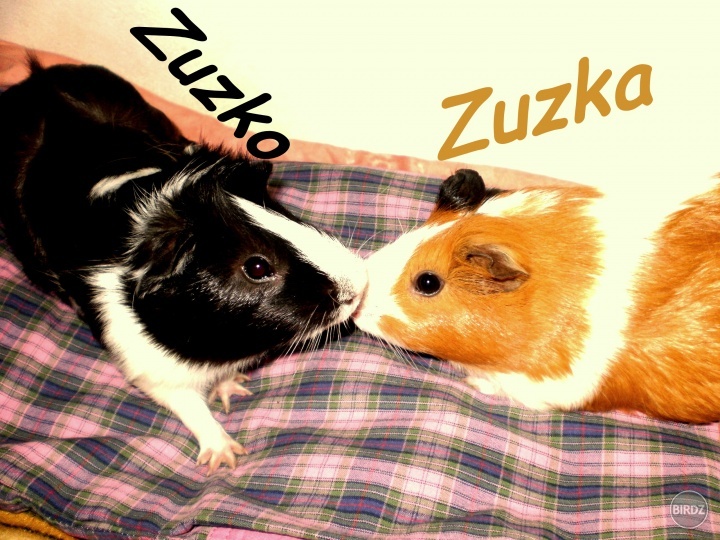 Zuzko a Zuza :D :D 