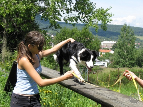 Roko & ja prvy krat na cvicaku