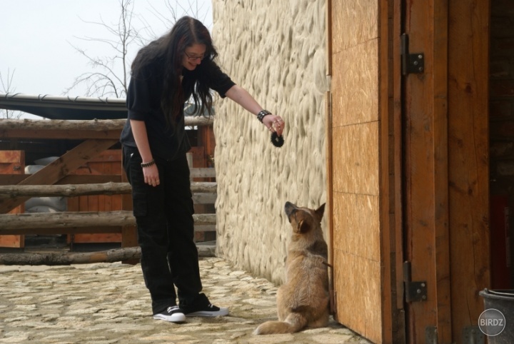 Ná pipipipi, ná! Spapaj gumičku! Ale to bola moja gumička do vlasov, to si treba vážiť, to len tak hocikomu nedám! 